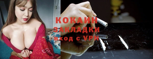 стаф Алексин
