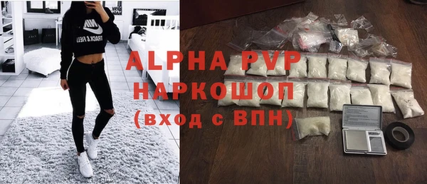стаф Алексин