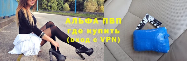 стаф Алексин